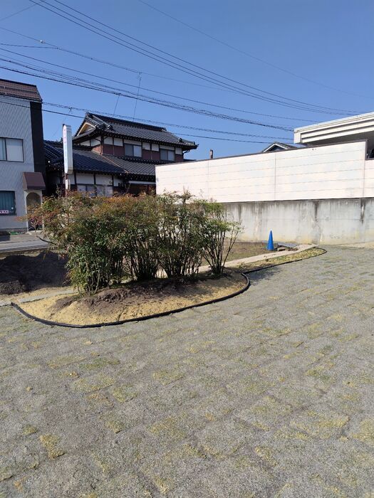 生垣植え替え終了