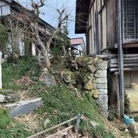 画像1431