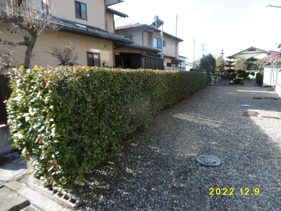 画像1475