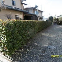 画像1475