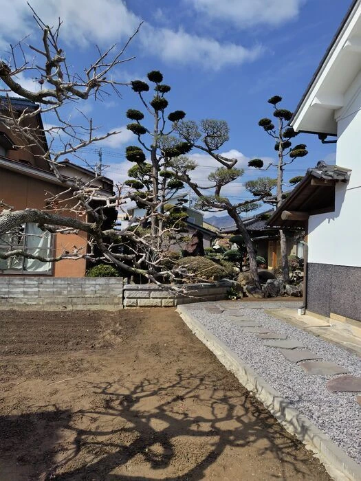 画像1484