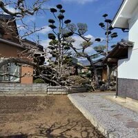 画像1484