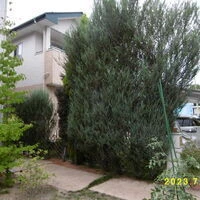 画像1607